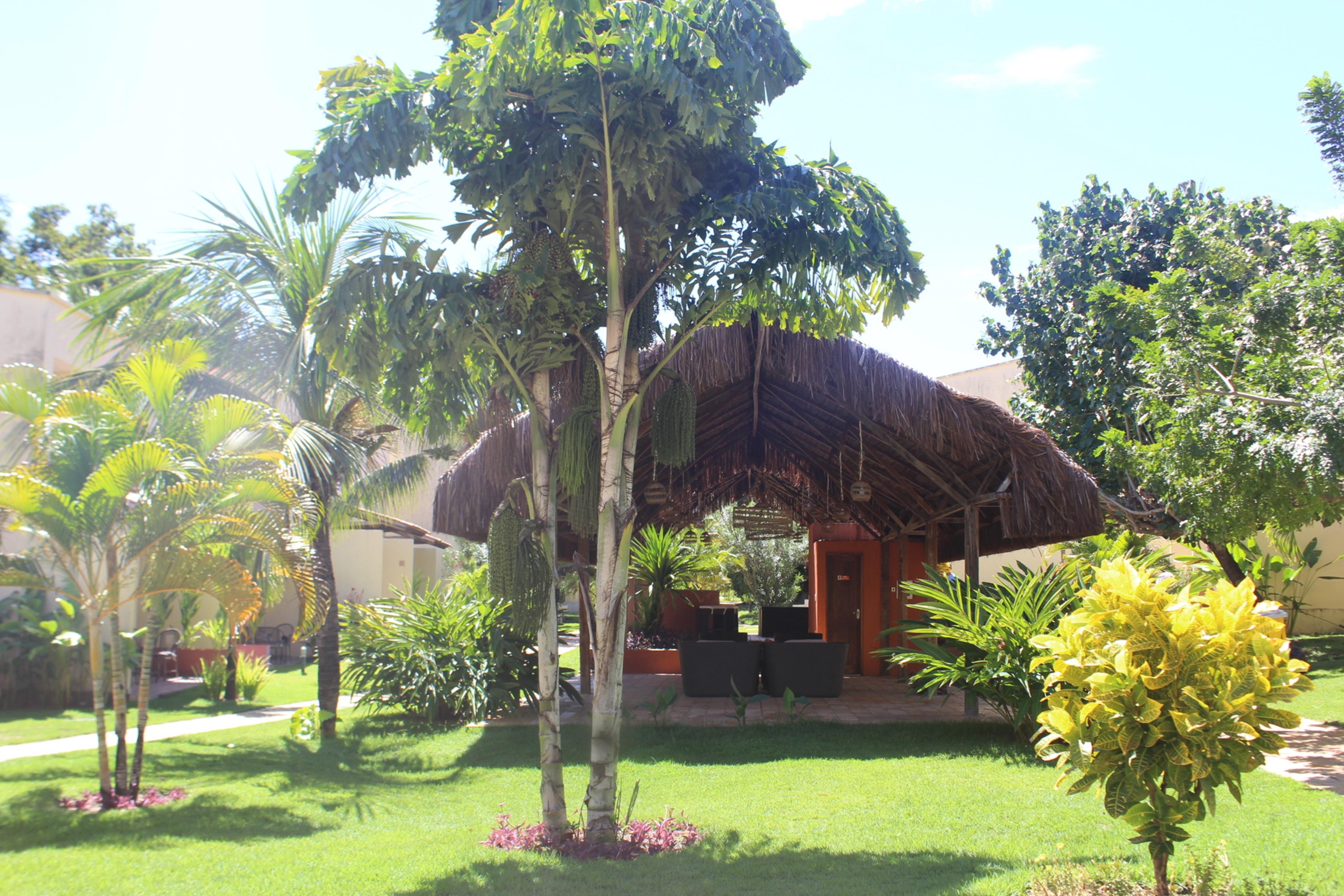 Hotel Pipa Atlântico Praia de Pipa Exterior foto