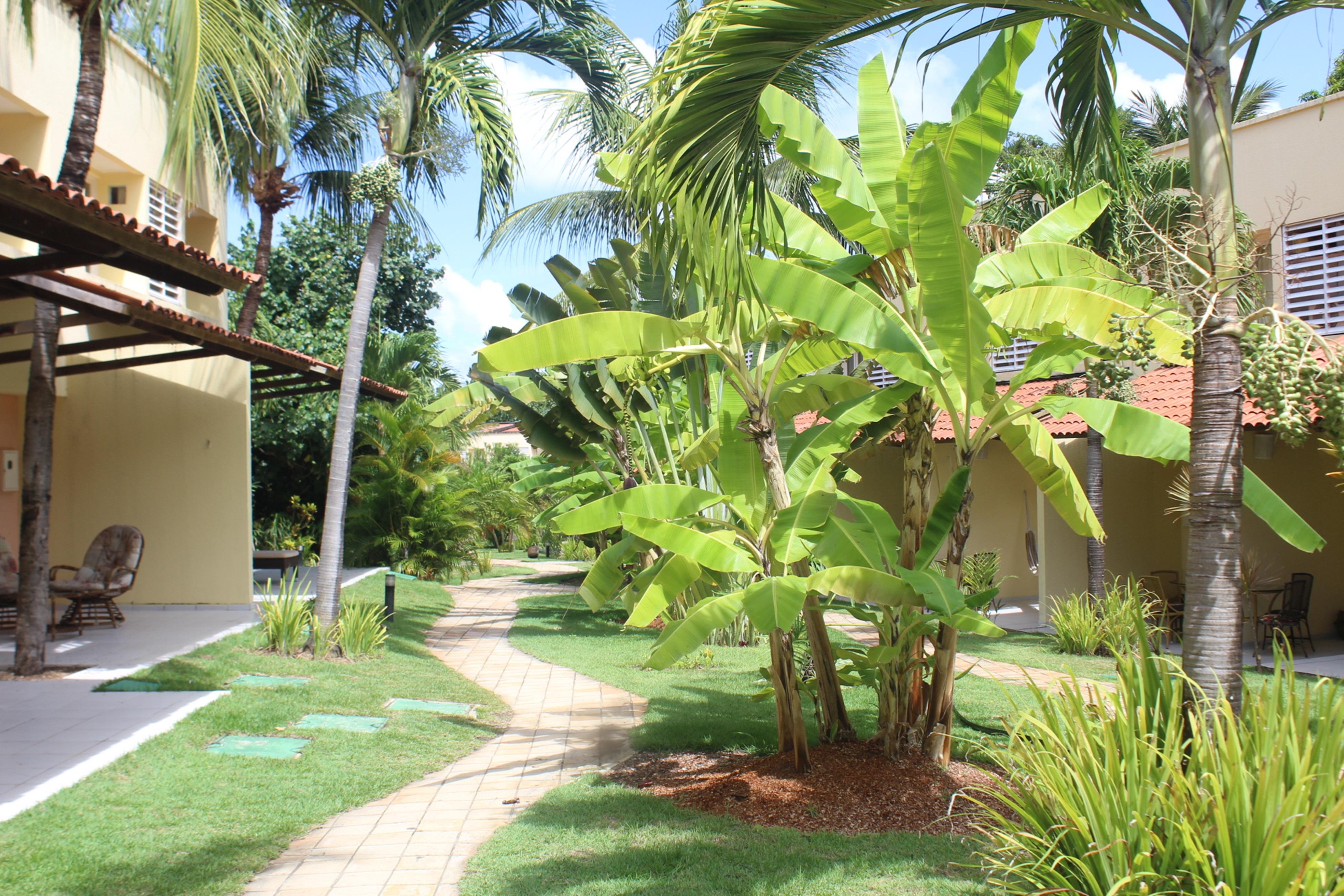 Hotel Pipa Atlântico Praia de Pipa Exterior foto